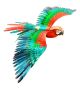 Parrot Jubilee Macaw - Premium Series