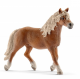 Haflinger Hengst