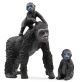 Gorilla Familie